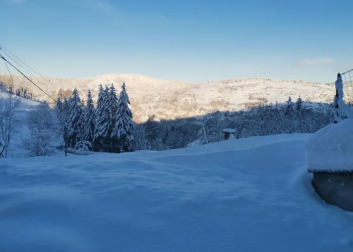 Le Du Brabant Chalet