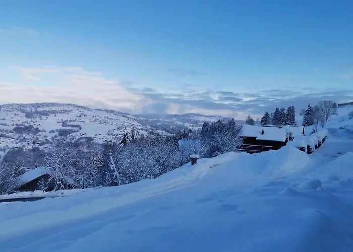 Chalet Le Du Brabant *